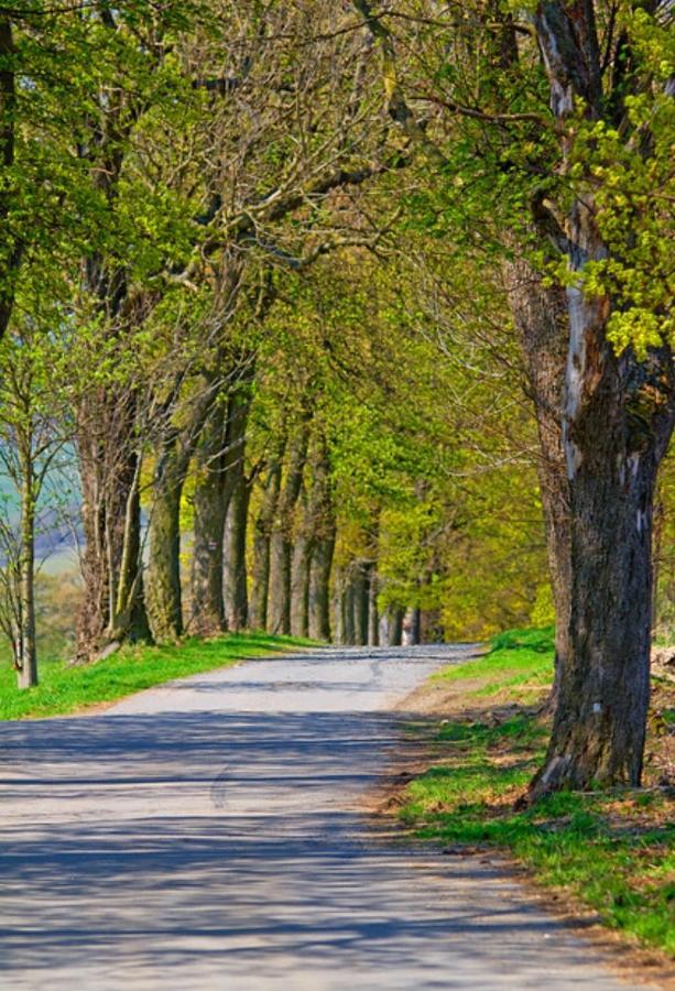 Ferienwohnung Rotbuche Tannenberg Zewnętrze zdjęcie