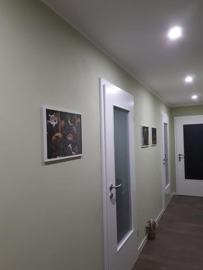 Ferienwohnung Rotbuche Tannenberg Zewnętrze zdjęcie